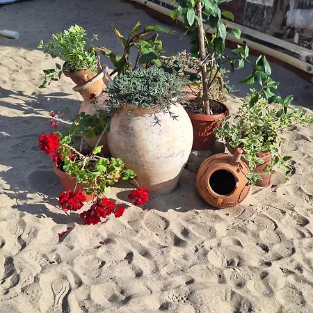 Sun Coast By The Sea *