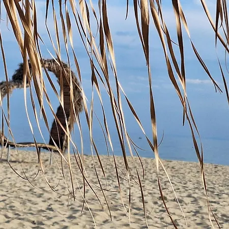 Sun Coast By The Sea 公寓